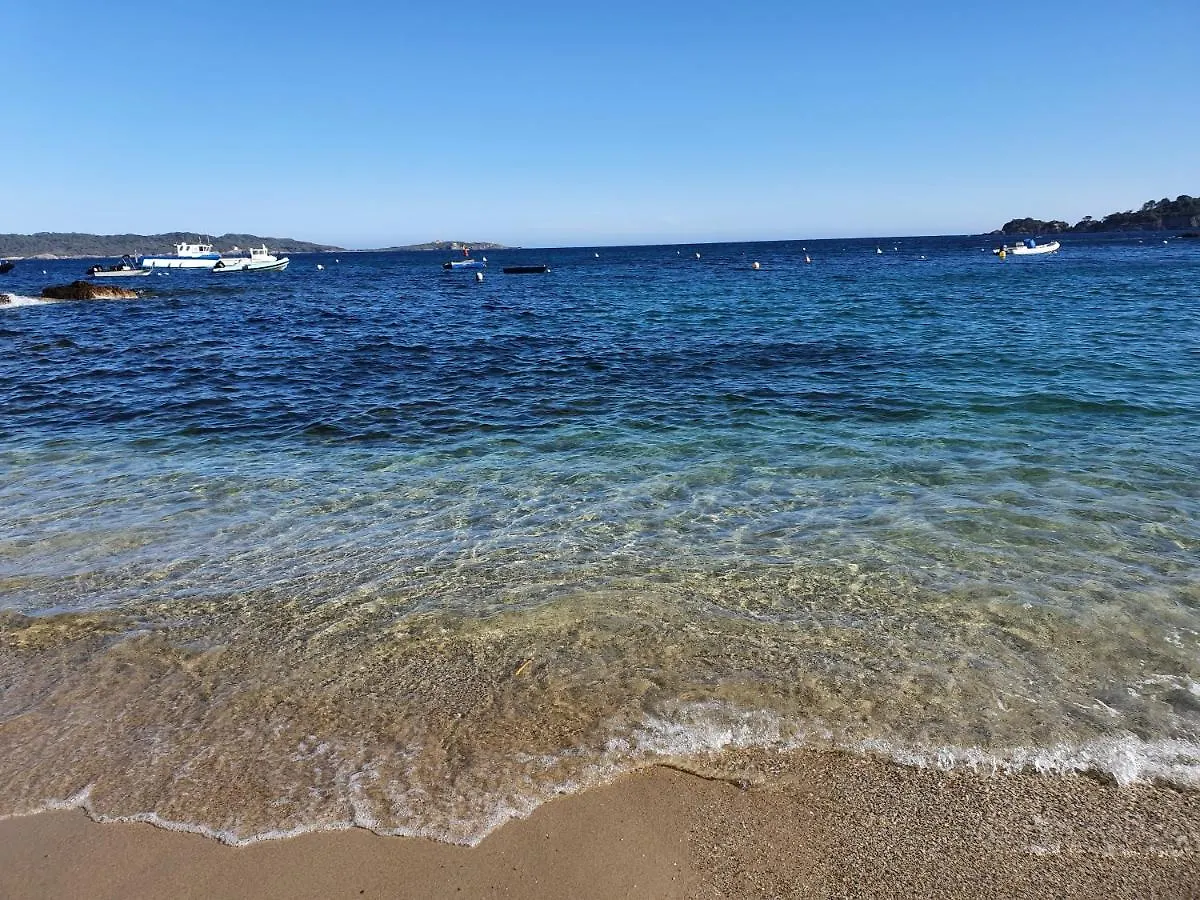 Location Appartement Pour 4 Personnes Presqu Ile De Giens Residence 3 Etoiles Hyeres Apartment